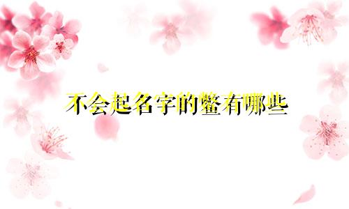 不会起名字的鳖有哪些