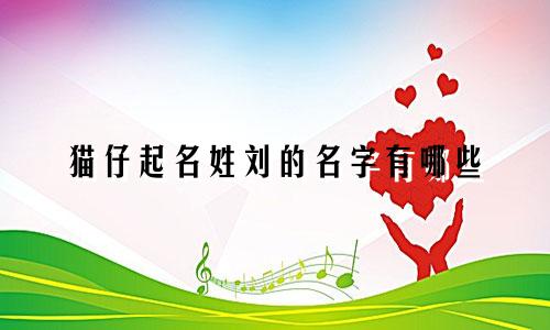 猫仔起名姓刘的名字有哪些