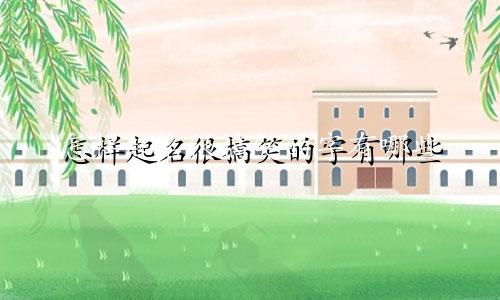 怎样起名很搞笑的字有哪些