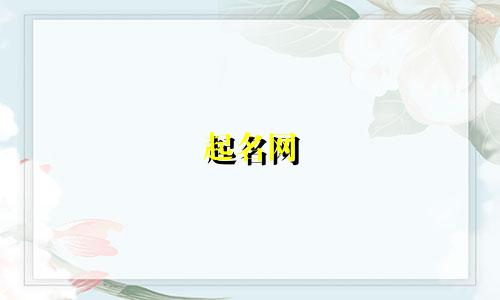 起名网 小程序有哪些好用