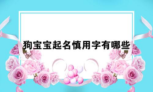 狗宝宝起名慎用字有哪些