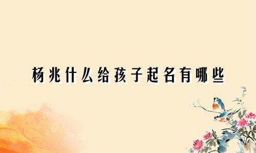 杨兆什么给孩子起名有哪些