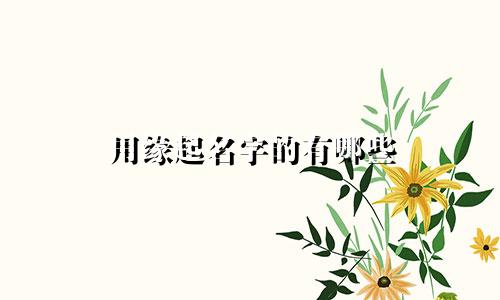 用缘起名字的有哪些