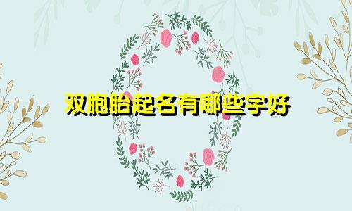 双胞胎起名有哪些字好