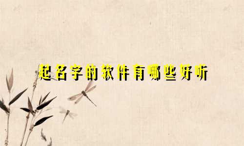 起名字的软件有哪些好听