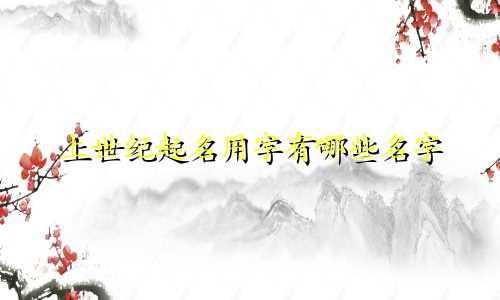 上世纪起名用字有哪些名字