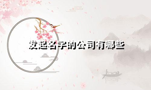 发起名字的公司有哪些