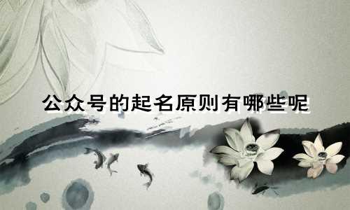 公众号的起名原则有哪些呢