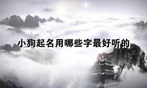 小狗起名用哪些字最好听的