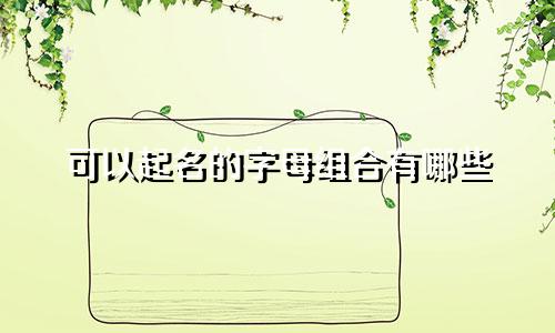 可以起名的字母组合有哪些