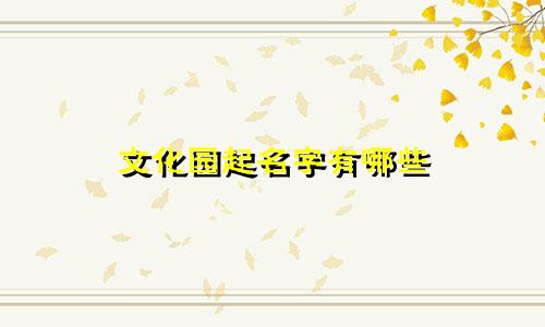 文化园起名字有哪些