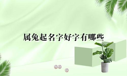 属兔起名字好字有哪些