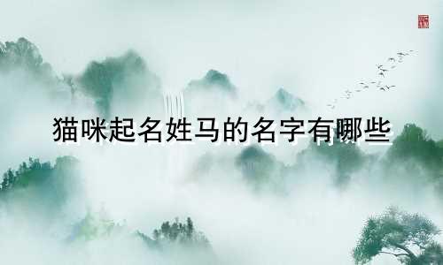 猫咪起名姓马的名字有哪些
