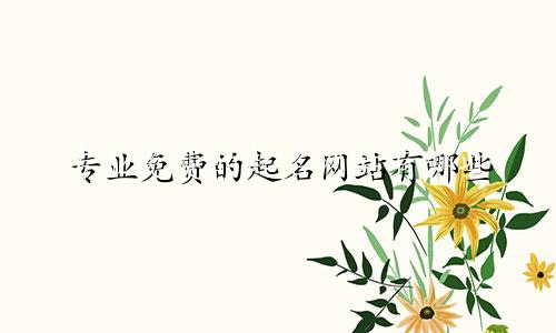 专业免费的起名网站有哪些