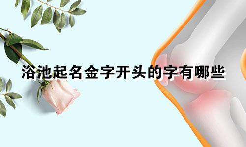 浴池起名金字开头的字有哪些