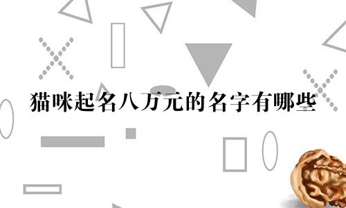 猫咪起名八万元的名字有哪些