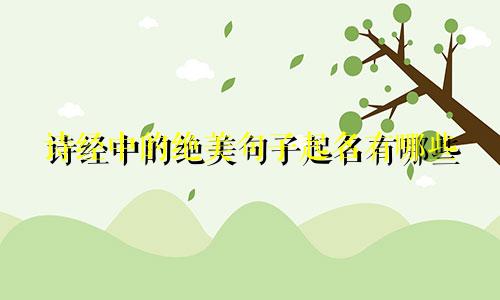 诗经中的绝美句子起名有哪些