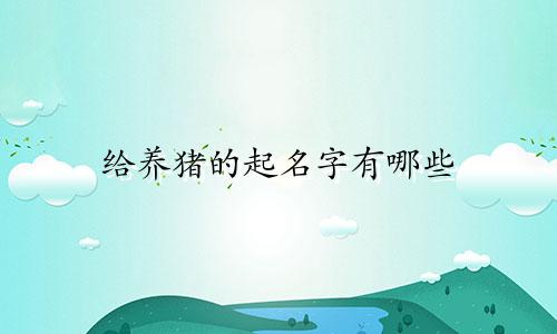 给养猪的起名字有哪些