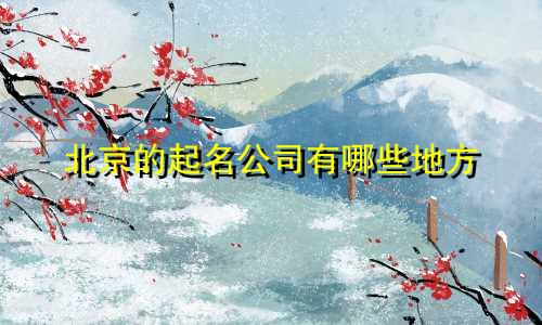 北京的起名公司有哪些地方