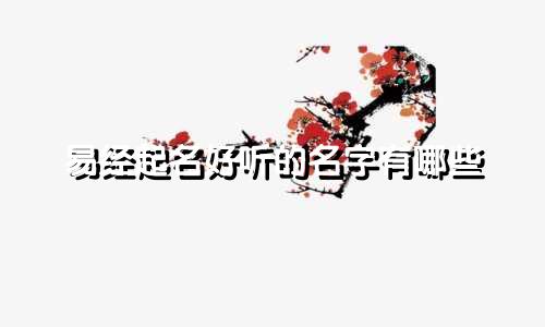 易经起名好听的名字有哪些