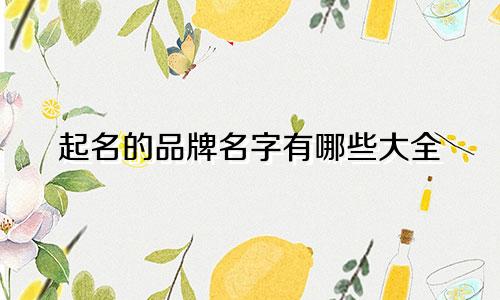 起名的品牌名字有哪些大全