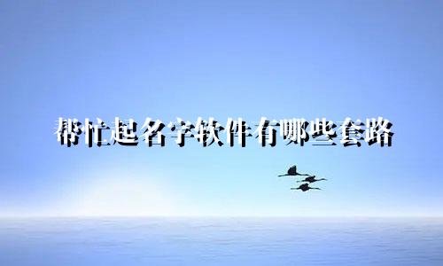 帮忙起名字软件有哪些套路