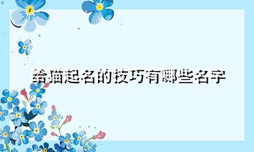 给猫起名的技巧有哪些名字