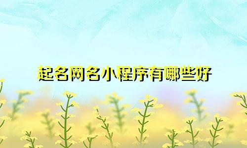 起名网名小程序有哪些好