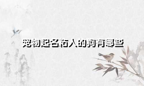 宠物起名粘人的狗有哪些