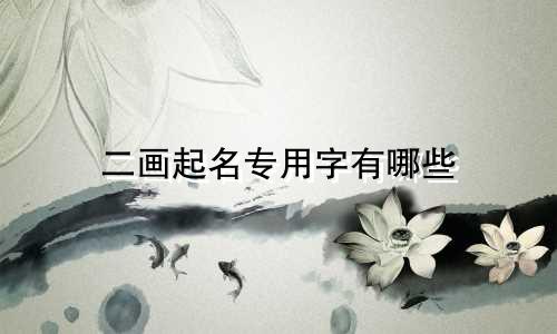 二画起名专用字有哪些