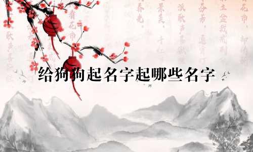 给狗狗起名字起哪些名字