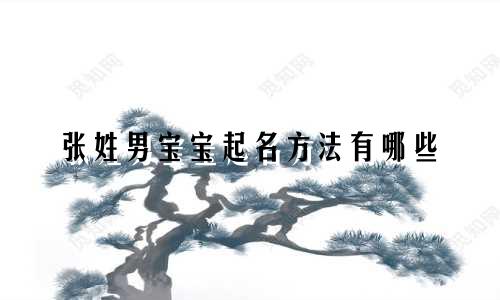 张姓男宝宝起名方法有哪些