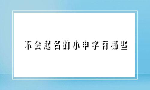 不会起名的小申字有哪些