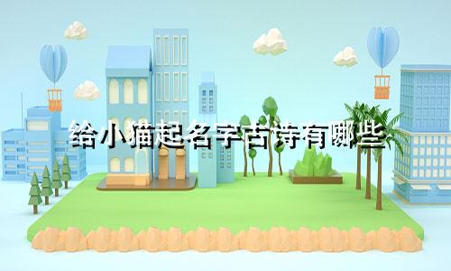 给小猫起名字古诗有哪些