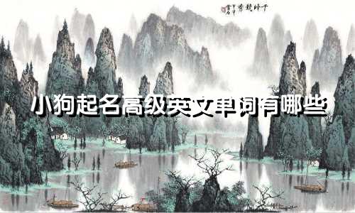 小狗起名高级英文单词有哪些