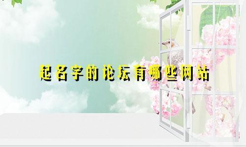 起名字的论坛有哪些网站