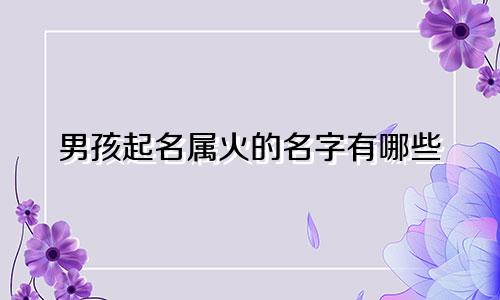 男孩起名属火的名字有哪些