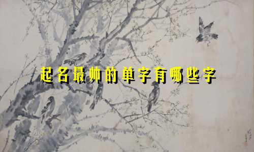 起名最帅的单字有哪些字