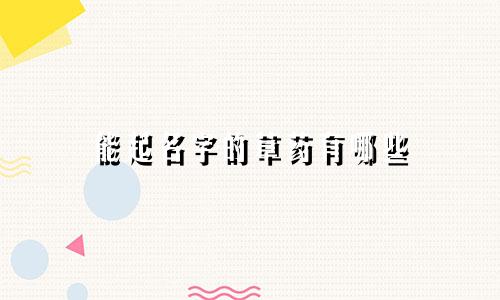 能起名字的草药有哪些