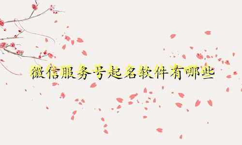 微信服务号起名软件有哪些
