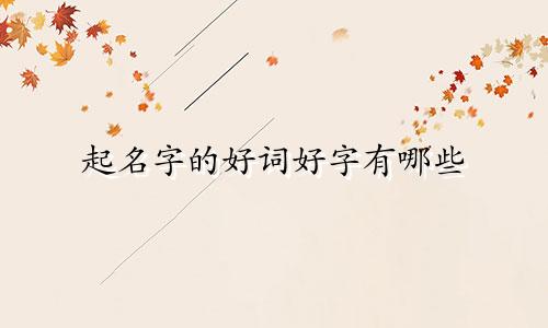 起名字的好词好字有哪些