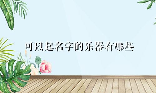 可以起名字的乐器有哪些