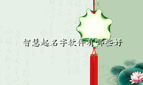 智慧起名字软件有哪些好