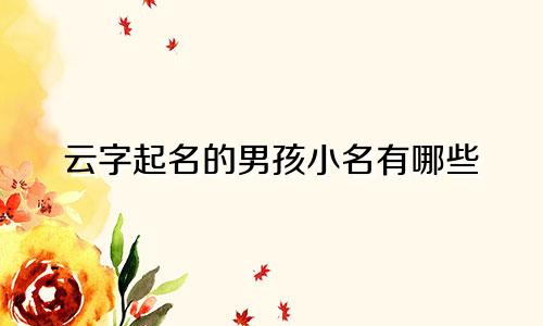 云字起名的男孩小名有哪些