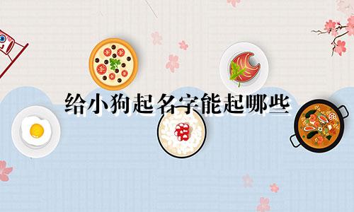 给小狗起名字能起哪些