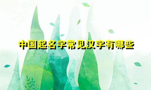 中国起名字常见汉字有哪些