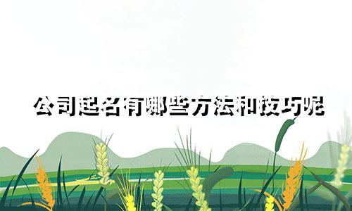 公司起名有哪些方法和技巧呢
