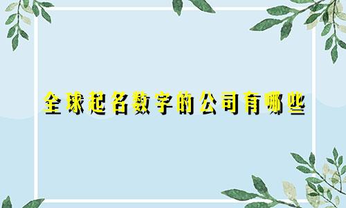 全球起名数字的公司有哪些