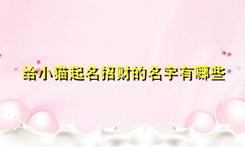 给小猫起名招财的名字有哪些