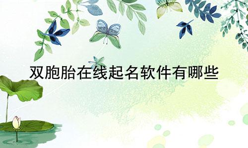 双胞胎在线起名软件有哪些